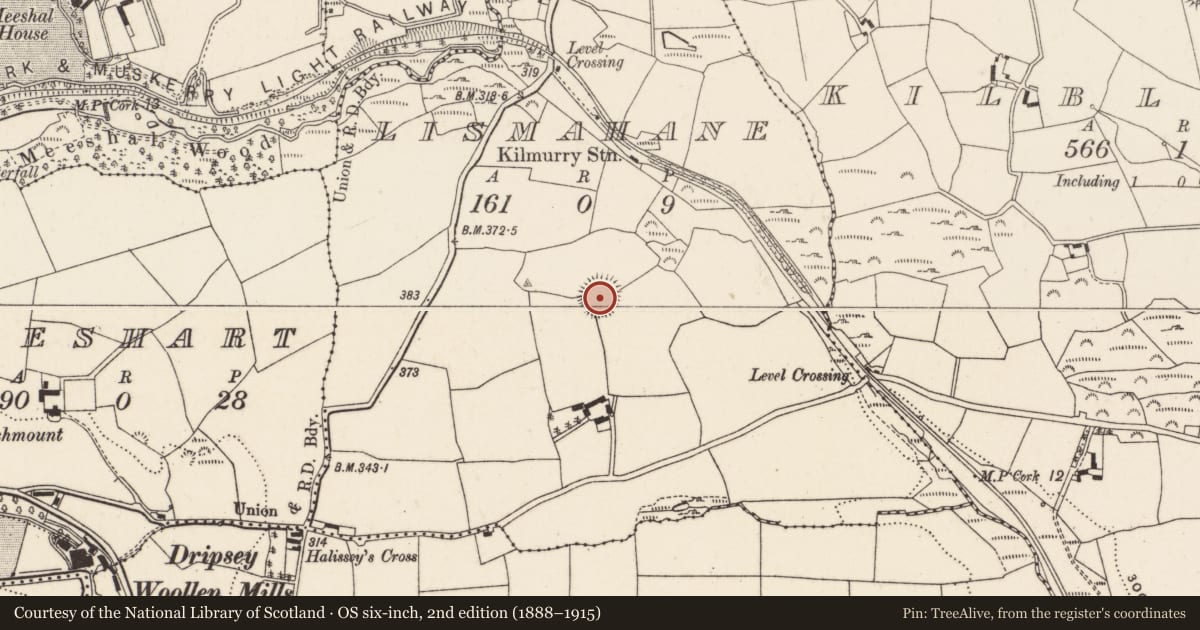 Ordnance Survey six-inch map, 2nd edition (1888–1915) covering the location of Ringfort - rath, Lismahane, County Cork, with a pin at the register's coordinates