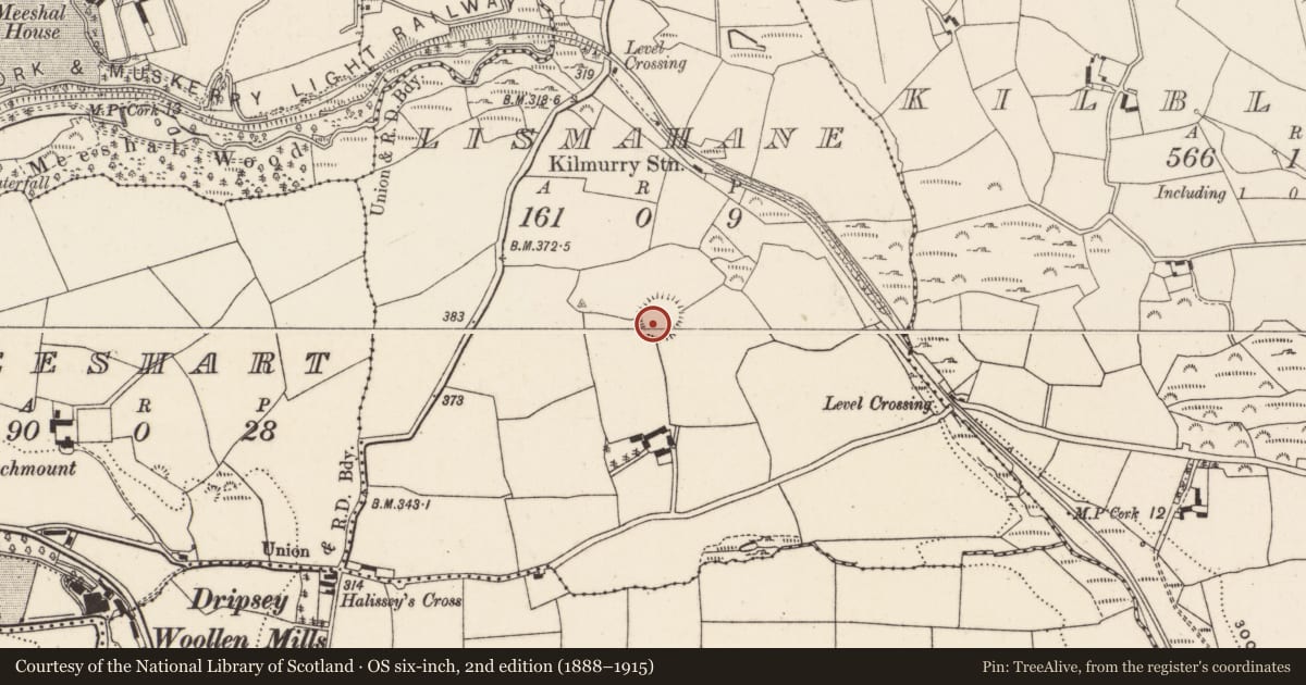 Ordnance Survey six-inch map, 2nd edition (1888–1915) covering the location of Souterrain, Lismahane, County Cork, with a pin at the register's coordinates