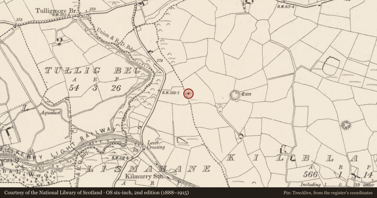 Ordnance Survey six-inch map, 2nd edition (1888–1915) covering the location of Fulacht fia, Kilblaffer, County Cork, with a pin at the register's coordinates