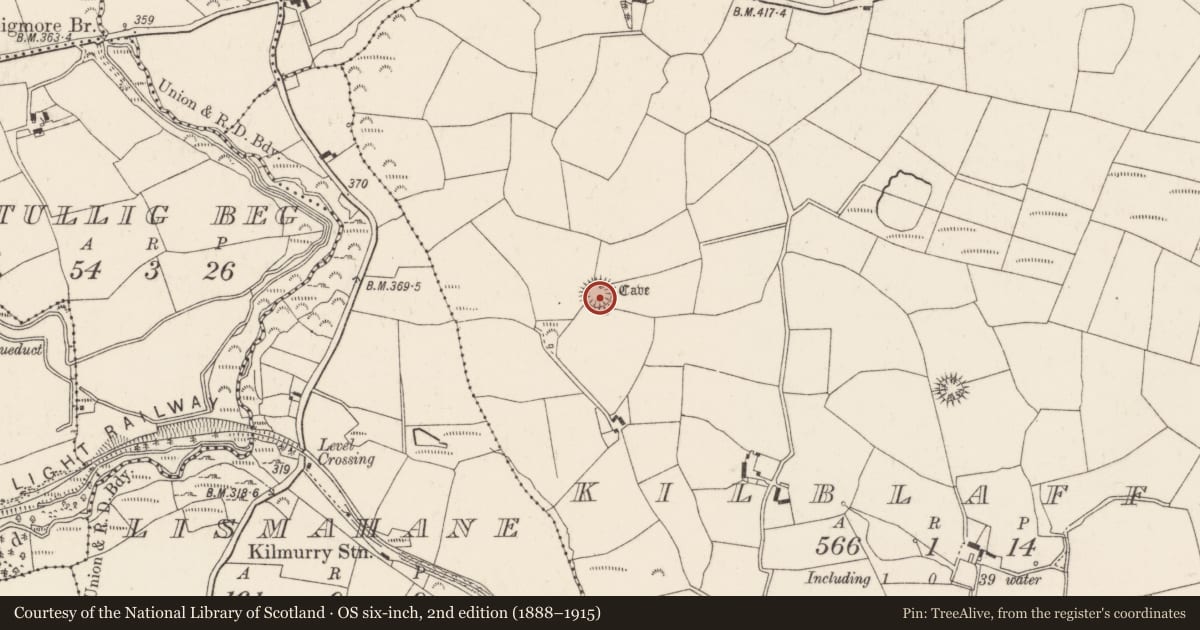 Ordnance Survey six-inch map, 2nd edition (1888–1915) covering the location of Ringfort - rath, Kilblaffer, County Cork, with a pin at the register's coordinates