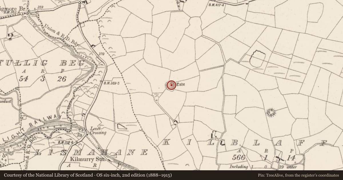 Ordnance Survey six-inch map, 2nd edition (1888–1915) covering the location of Souterrain, Kilblaffer, County Cork, with a pin at the register's coordinates