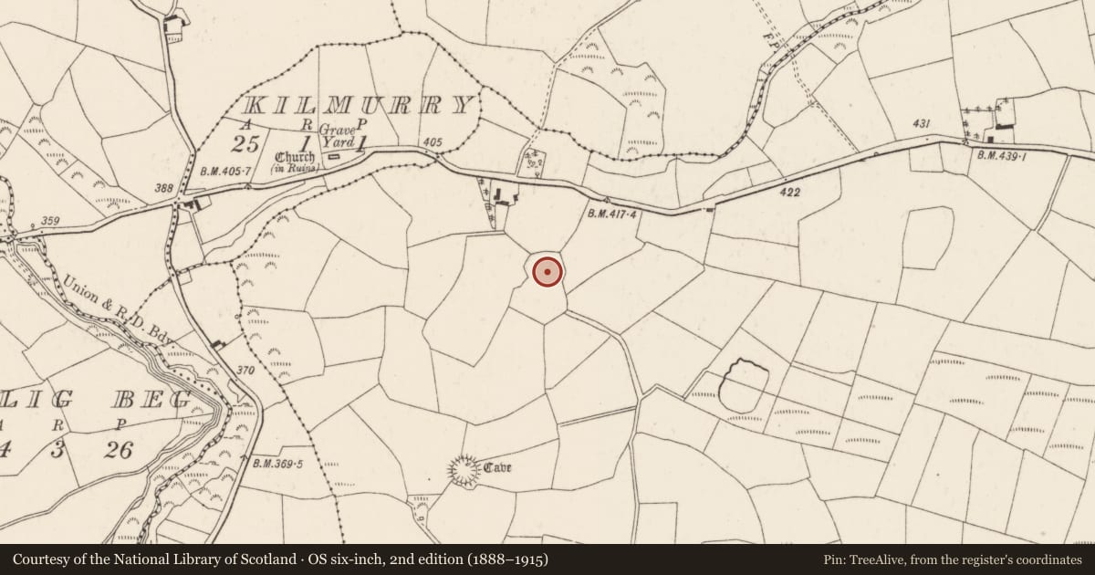Ordnance Survey six-inch map, 2nd edition (1888–1915) covering the location of Burial ground, Kilblaffer, County Cork, with a pin at the register's coordinates