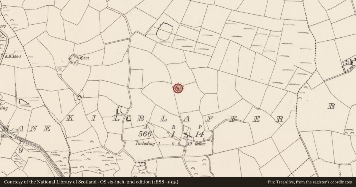 Ordnance Survey six-inch map, 2nd edition (1888–1915) covering the location of Ringfort - rath, Kilblaffer, County Cork, with a pin at the register's coordinates