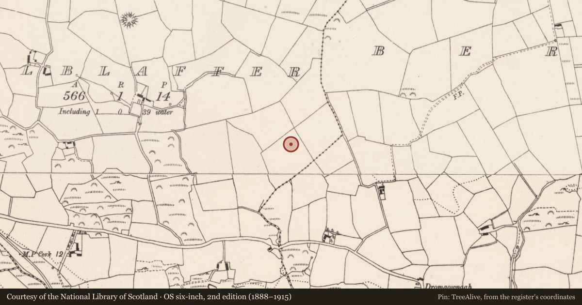Ordnance Survey six-inch map, 2nd edition (1888–1915) covering the location of Ringfort - rath, Kilblaffer, County Cork, with a pin at the register's coordinates