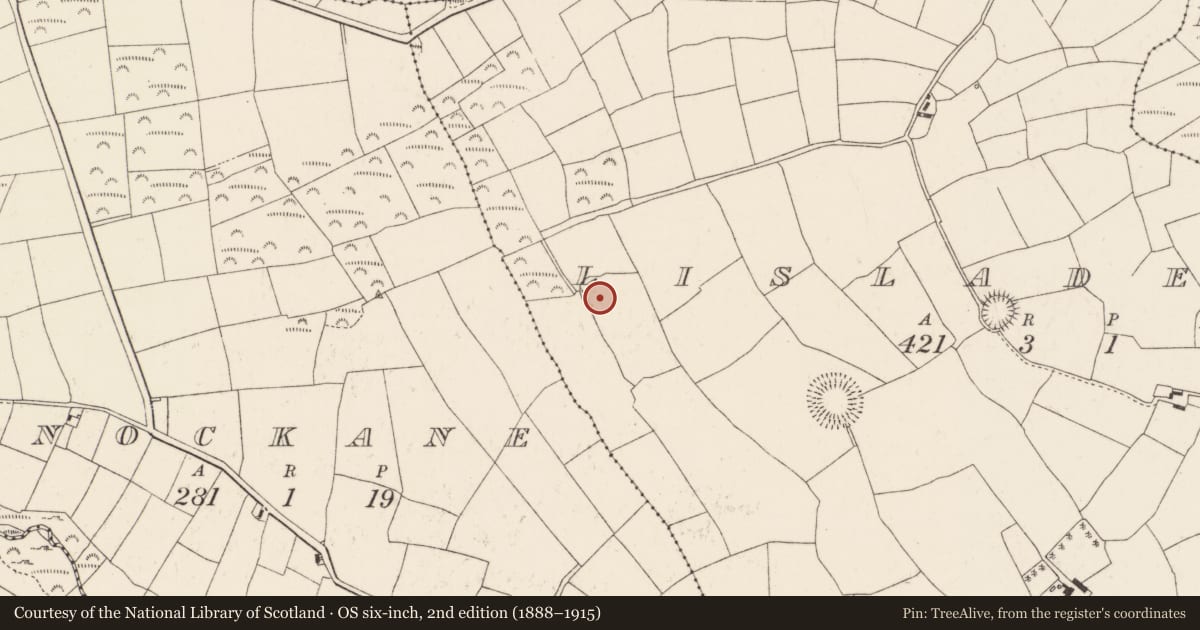 Ordnance Survey six-inch map, 2nd edition (1888–1915) covering the location of Ringfort - rath, Lisladeen, County Cork, with a pin at the register's coordinates