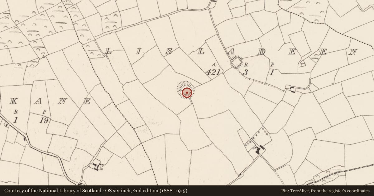 Ordnance Survey six-inch map, 2nd edition (1888–1915) covering the location of Souterrain, Lisladeen, County Cork, with a pin at the register's coordinates