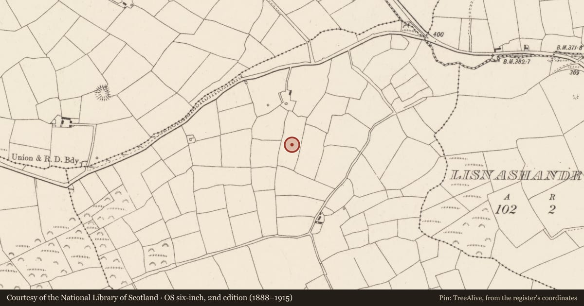 Ordnance Survey six-inch map, 2nd edition (1888–1915) covering the location of Standing stone, Lisladeen, County Cork, with a pin at the register's coordinates