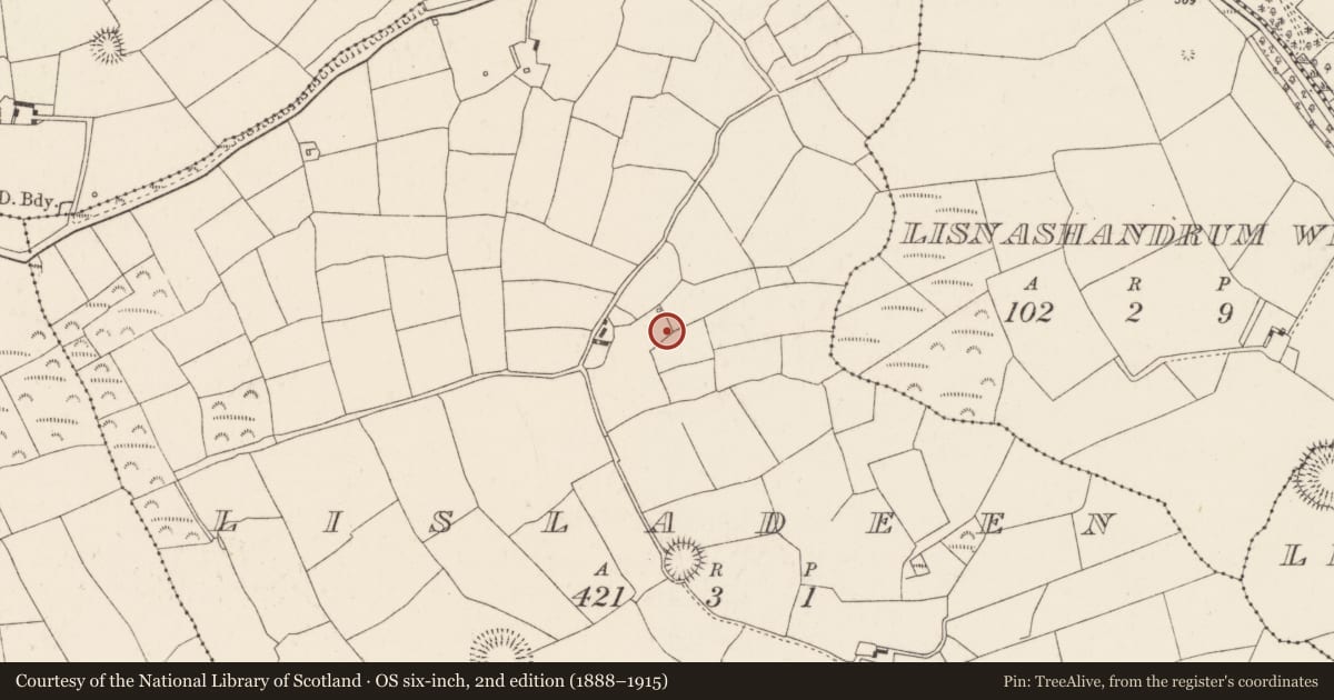 Ordnance Survey six-inch map, 2nd edition (1888–1915) covering the location of Fulacht fia, Lisladeen, County Cork, with a pin at the register's coordinates