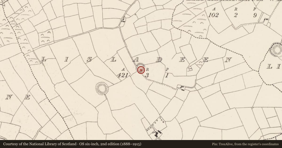 Ordnance Survey six-inch map, 2nd edition (1888–1915) covering the location of Ringfort - rath, Lisladeen, County Cork, with a pin at the register's coordinates