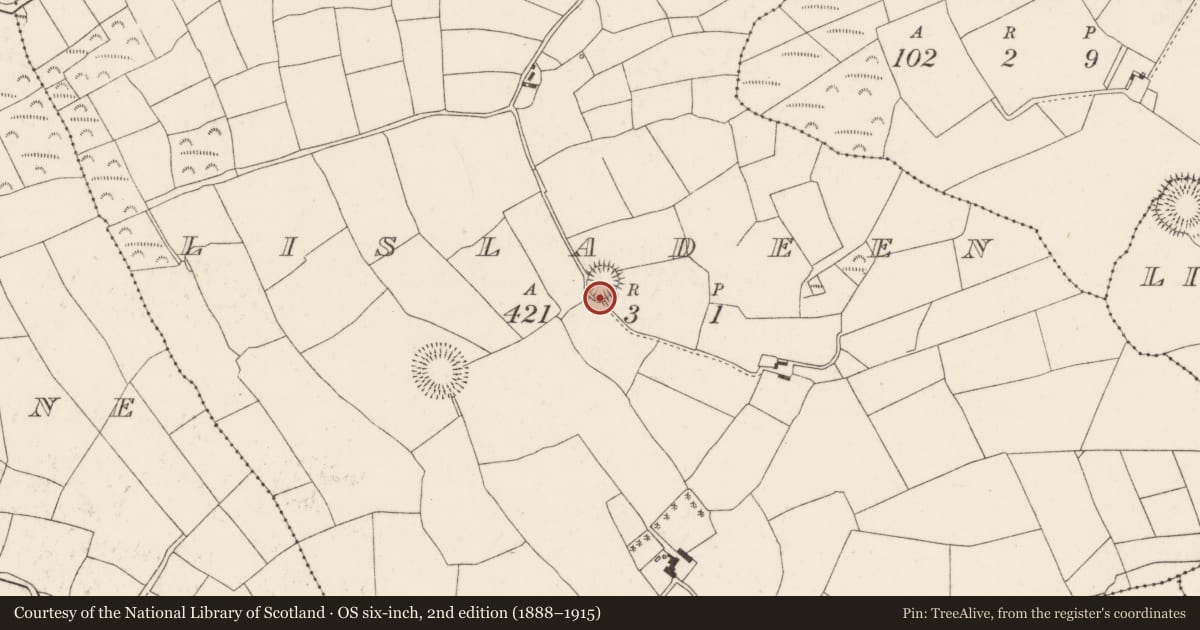 Ordnance Survey six-inch map, 2nd edition (1888–1915) covering the location of Souterrain, Lisladeen, County Cork, with a pin at the register's coordinates