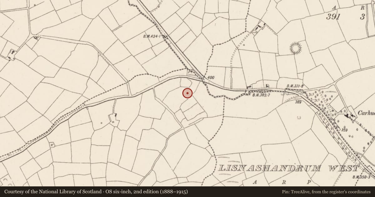 Ordnance Survey six-inch map, 2nd edition (1888–1915) covering the location of Standing stone, Lisladeen, County Cork, with a pin at the register's coordinates