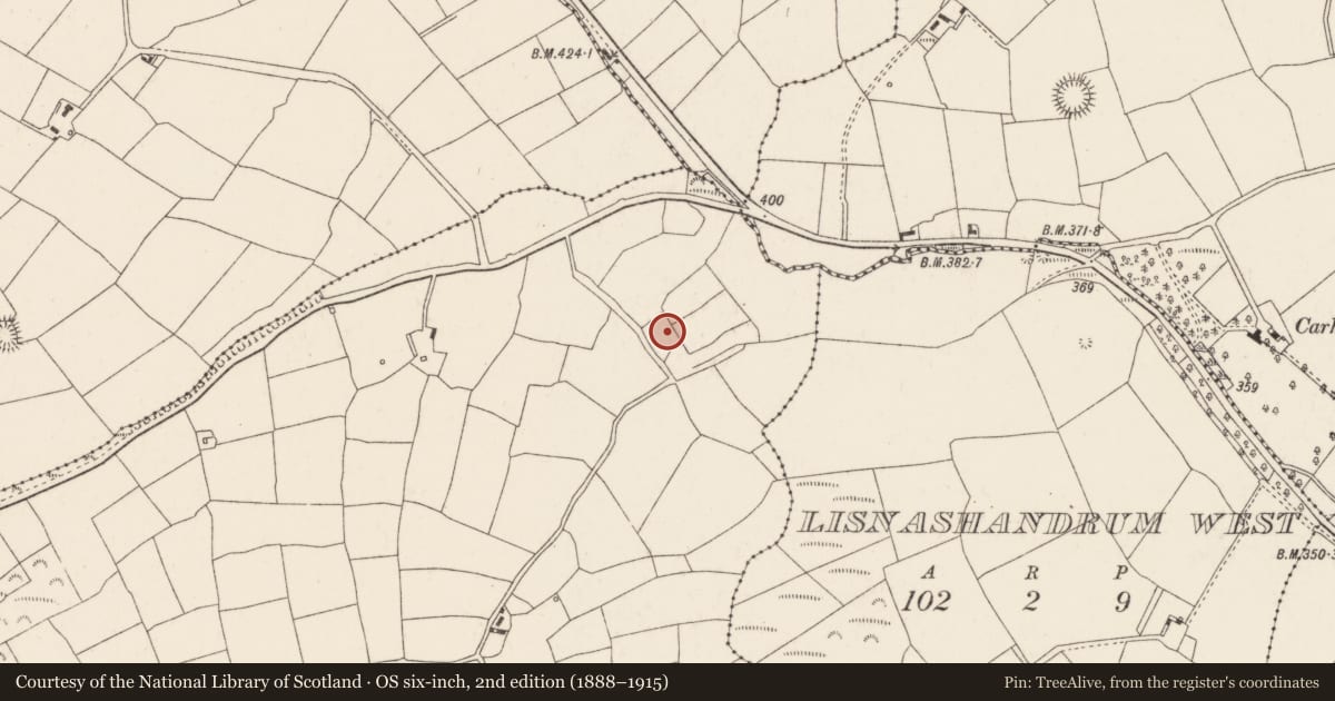 Ordnance Survey six-inch map, 2nd edition (1888–1915) covering the location of Fulacht fia, Lisladeen, County Cork, with a pin at the register's coordinates