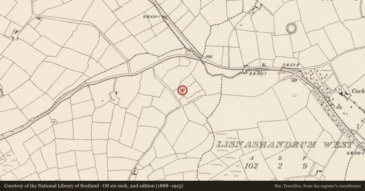 Ordnance Survey six-inch map, 2nd edition (1888–1915) covering the location of Fulacht fia, Lisladeen, County Cork, with a pin at the register's coordinates