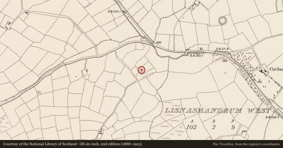 Ordnance Survey six-inch map, 2nd edition (1888–1915) covering the location of Fulacht fia, Lisladeen, County Cork, with a pin at the register's coordinates