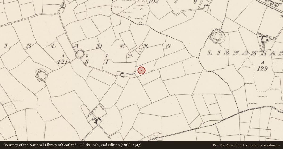 Ordnance Survey six-inch map, 2nd edition (1888–1915) covering the location of Fulacht fia, Lisladeen, County Cork, with a pin at the register's coordinates