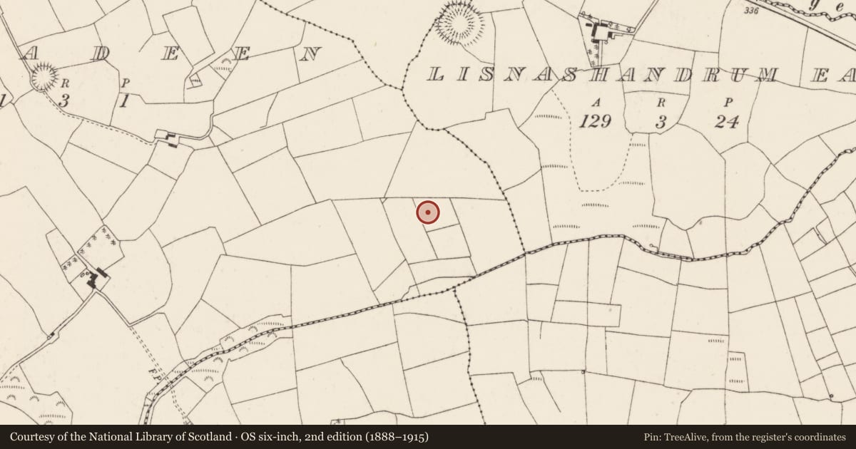 Ordnance Survey six-inch map, 2nd edition (1888–1915) covering the location of Standing stone, Lisladeen, County Cork, with a pin at the register's coordinates