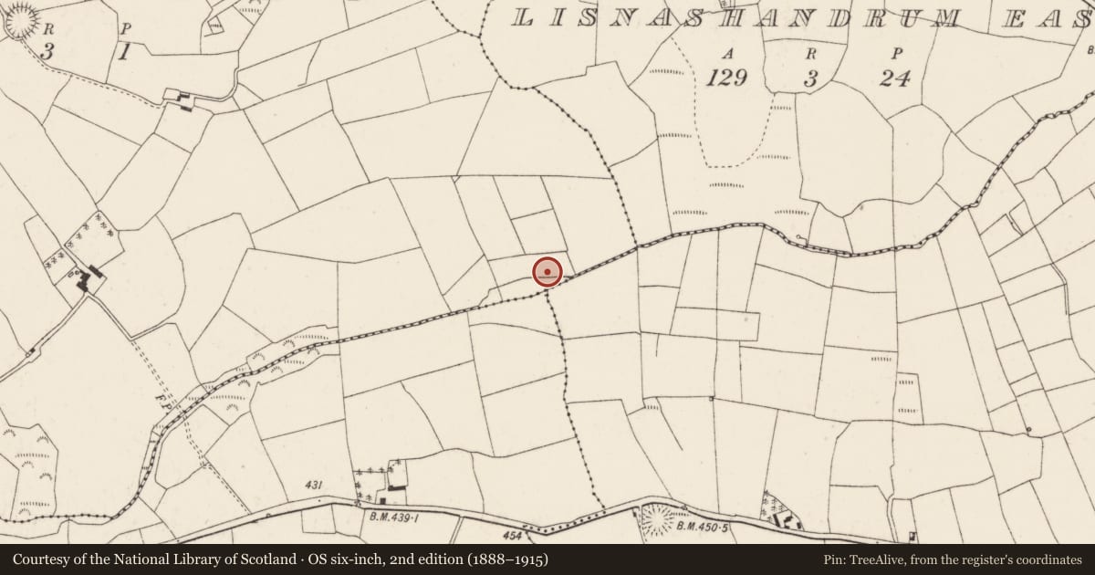 Ordnance Survey six-inch map, 2nd edition (1888–1915) covering the location of Fulacht fia, Lisladeen, County Cork, with a pin at the register's coordinates