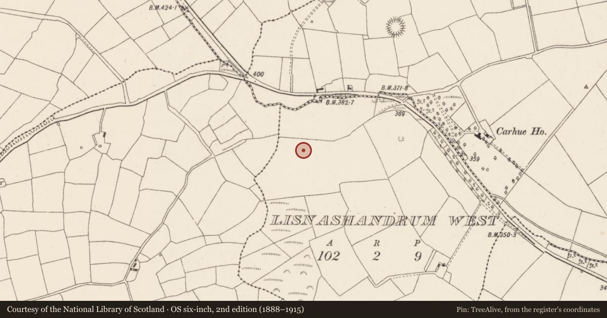 Ordnance Survey six-inch map, 2nd edition (1888–1915) covering the location of Standing stone, Lisnashandrum West, County Cork, with a pin at the register's coordinates