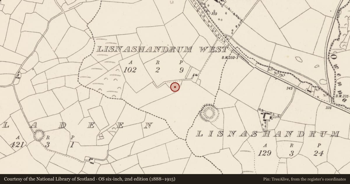 Ordnance Survey six-inch map, 2nd edition (1888–1915) covering the location of Fulacht fia, Lisnashandrum West, County Cork, with a pin at the register's coordinates
