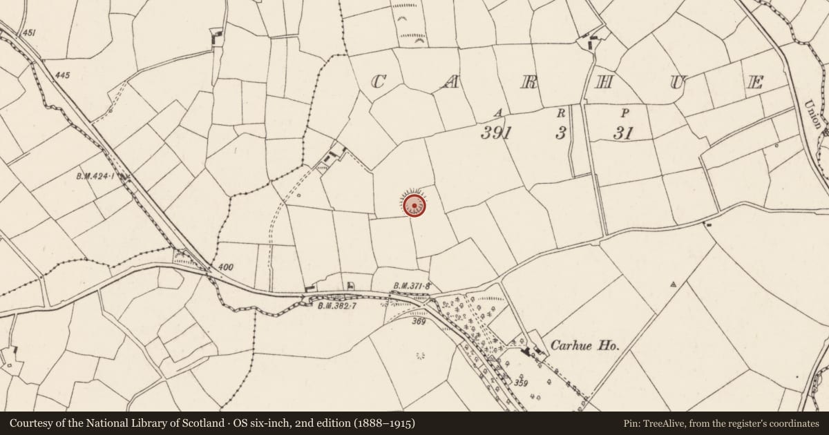 Ordnance Survey six-inch map, 2nd edition (1888–1915) covering the location of Ringfort - rath, Carhue, County Cork, with a pin at the register's coordinates