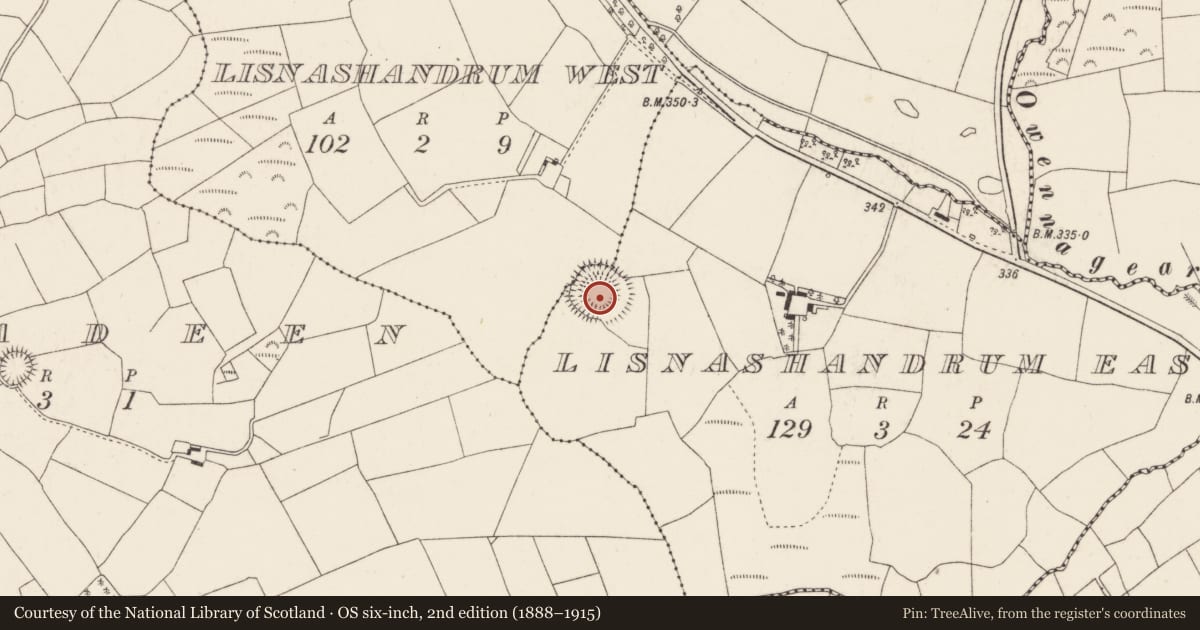 Ordnance Survey six-inch map, 2nd edition (1888–1915) covering the location of Ringfort - rath, Lisnashandrum East, County Cork, with a pin at the register's coordinates