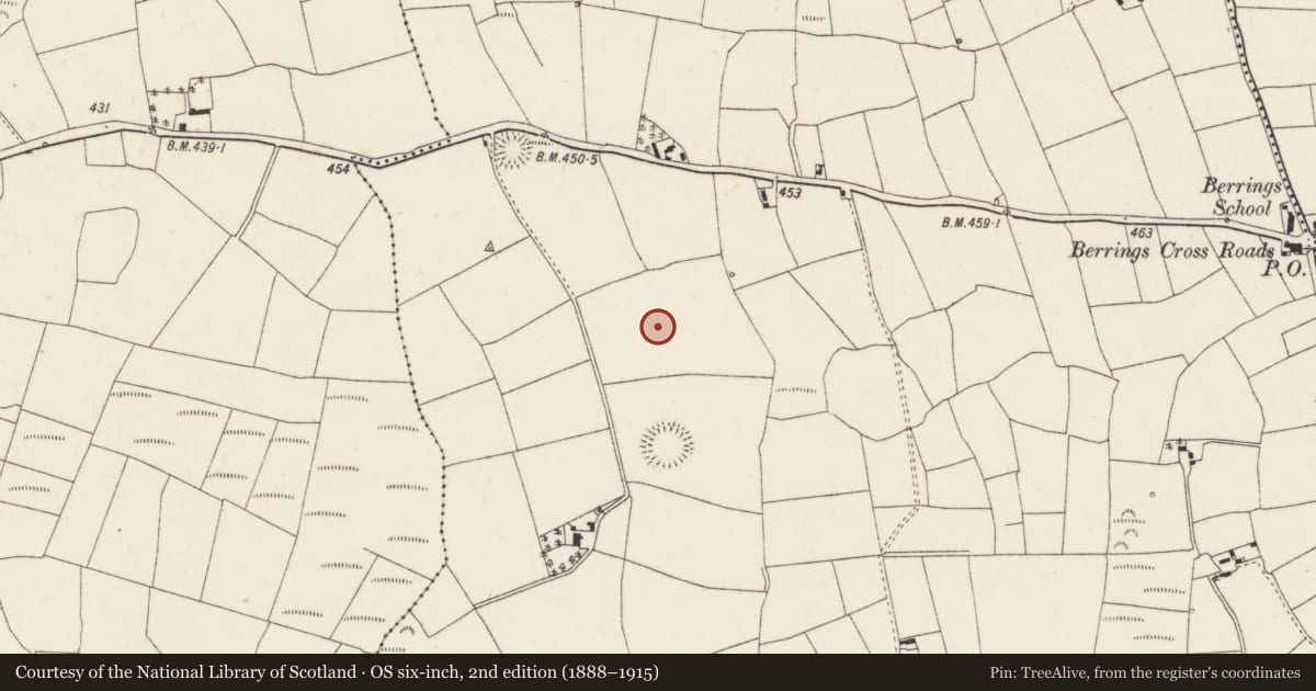 Ordnance Survey six-inch map, 2nd edition (1888–1915) covering the location of Standing stone, Berrings, County Cork, with a pin at the register's coordinates