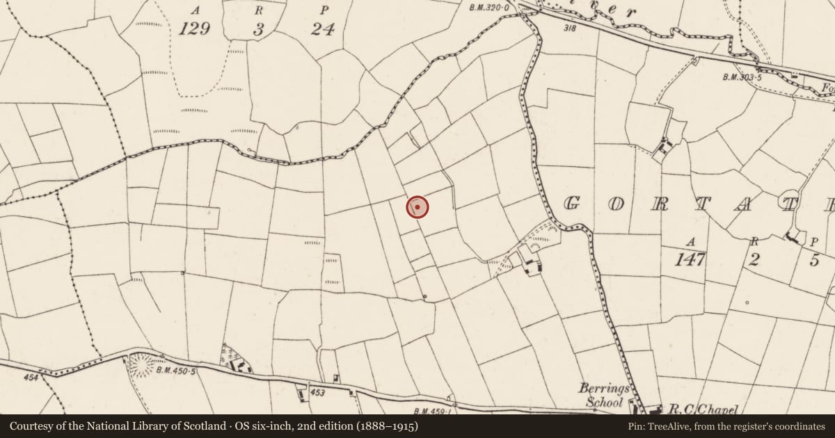 Ordnance Survey six-inch map, 2nd edition (1888–1915) covering the location of Fulacht fia, Berrings, County Cork, with a pin at the register's coordinates