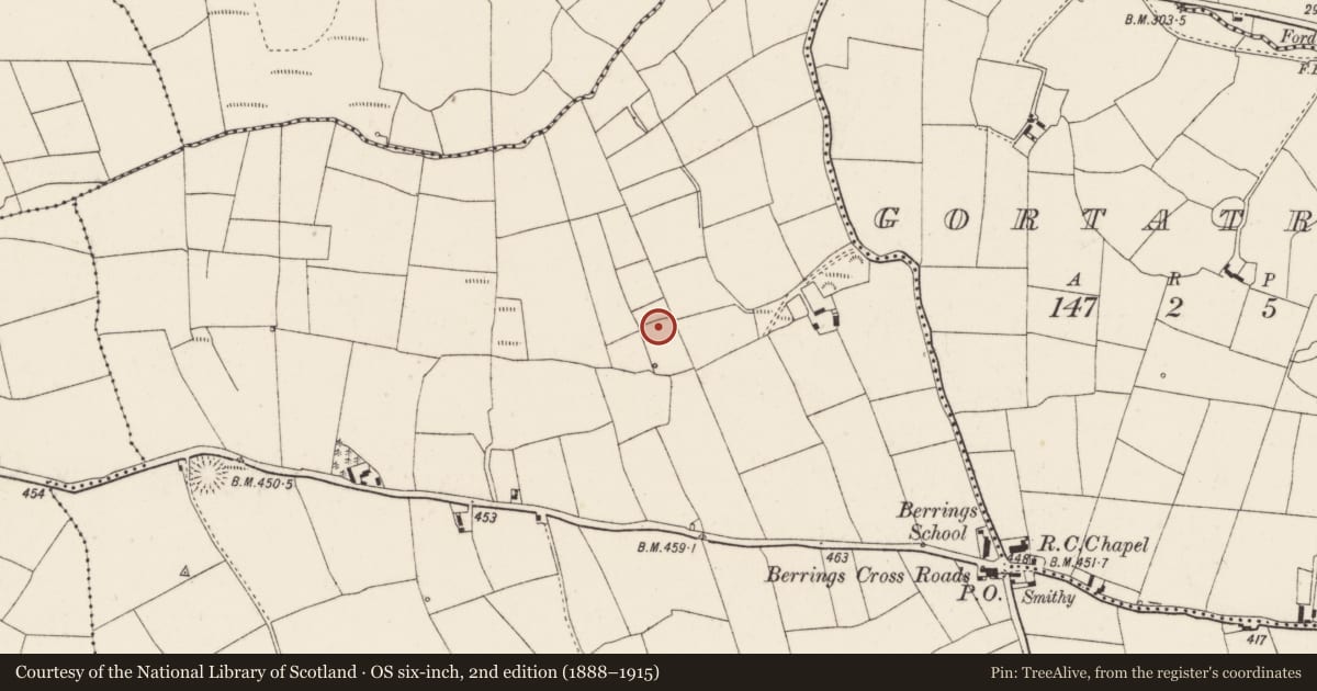 Ordnance Survey six-inch map, 2nd edition (1888–1915) covering the location of Fulacht fia, Berrings, County Cork, with a pin at the register's coordinates