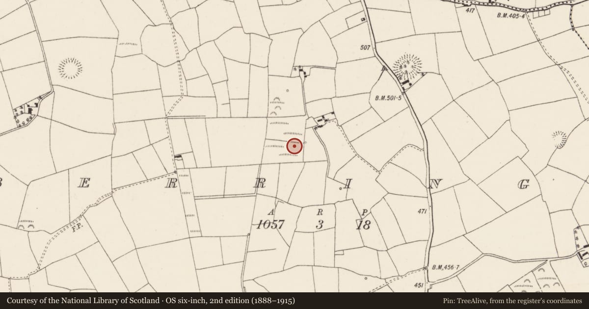 Ordnance Survey six-inch map, 2nd edition (1888–1915) covering the location of Fulacht fia, Berrings, County Cork, with a pin at the register's coordinates
