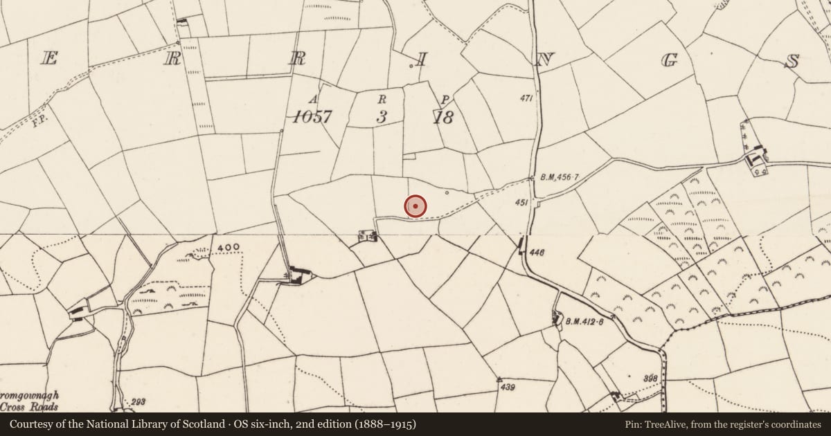 Ordnance Survey six-inch map, 2nd edition (1888–1915) covering the location of Fulacht fia, Berrings, County Cork, with a pin at the register's coordinates