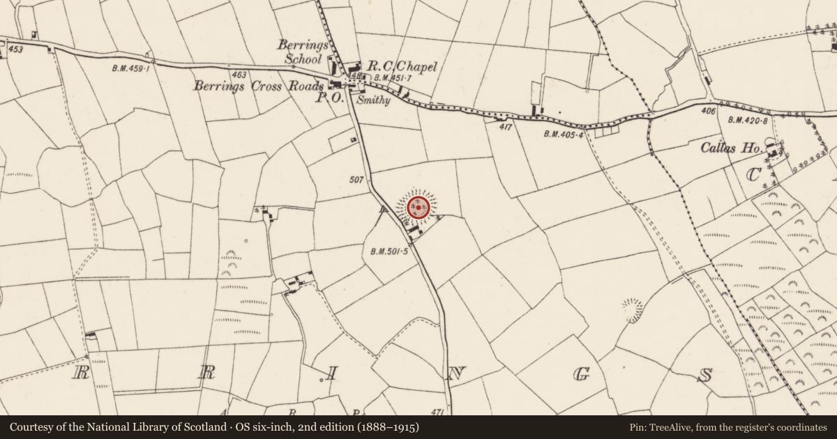 Ordnance Survey six-inch map, 2nd edition (1888–1915) covering the location of Ringfort - rath, Berrings, County Cork, with a pin at the register's coordinates