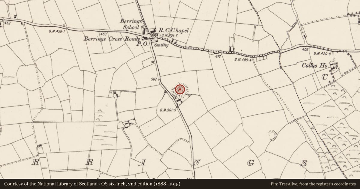 Ordnance Survey six-inch map, 2nd edition (1888–1915) covering the location of Souterrain, Berrings, County Cork, with a pin at the register's coordinates