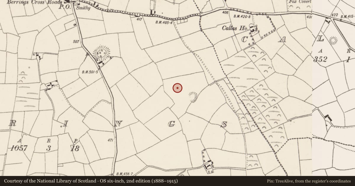 Ordnance Survey six-inch map, 2nd edition (1888–1915) covering the location of Fulacht fia, Berrings, County Cork, with a pin at the register's coordinates