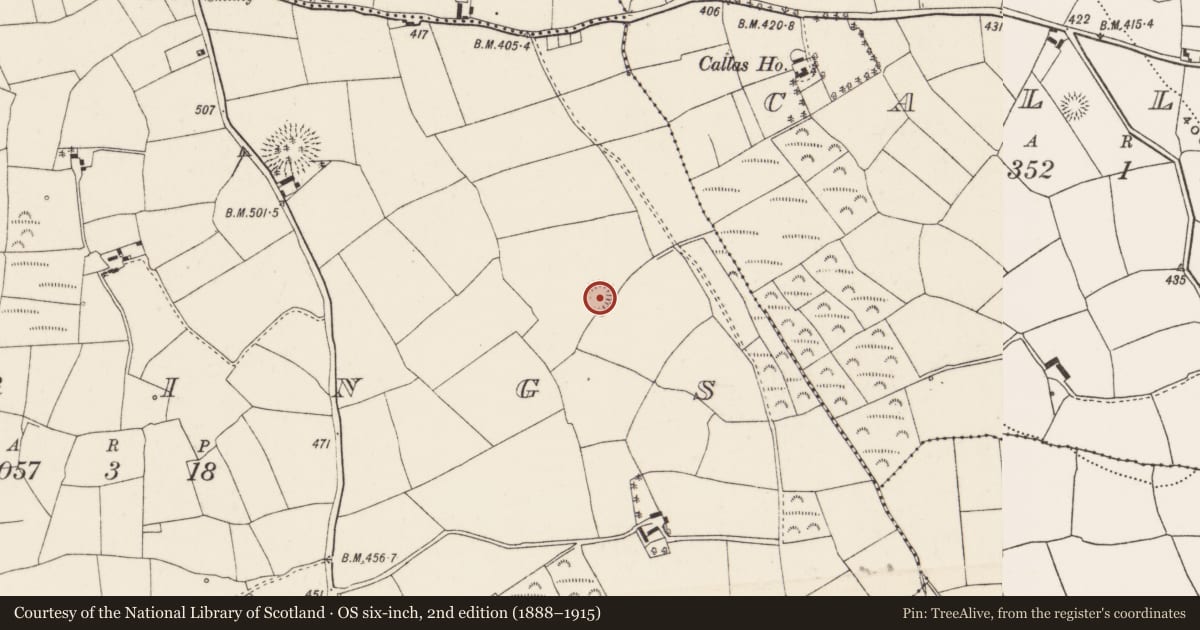 Ordnance Survey six-inch map, 2nd edition (1888–1915) covering the location of Ringfort - rath, Berrings, County Cork, with a pin at the register's coordinates