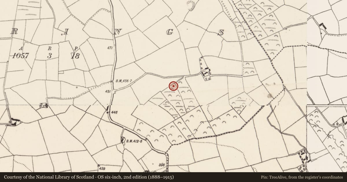 Ordnance Survey six-inch map, 2nd edition (1888–1915) covering the location of Fulacht fia, Berrings, County Cork, with a pin at the register's coordinates