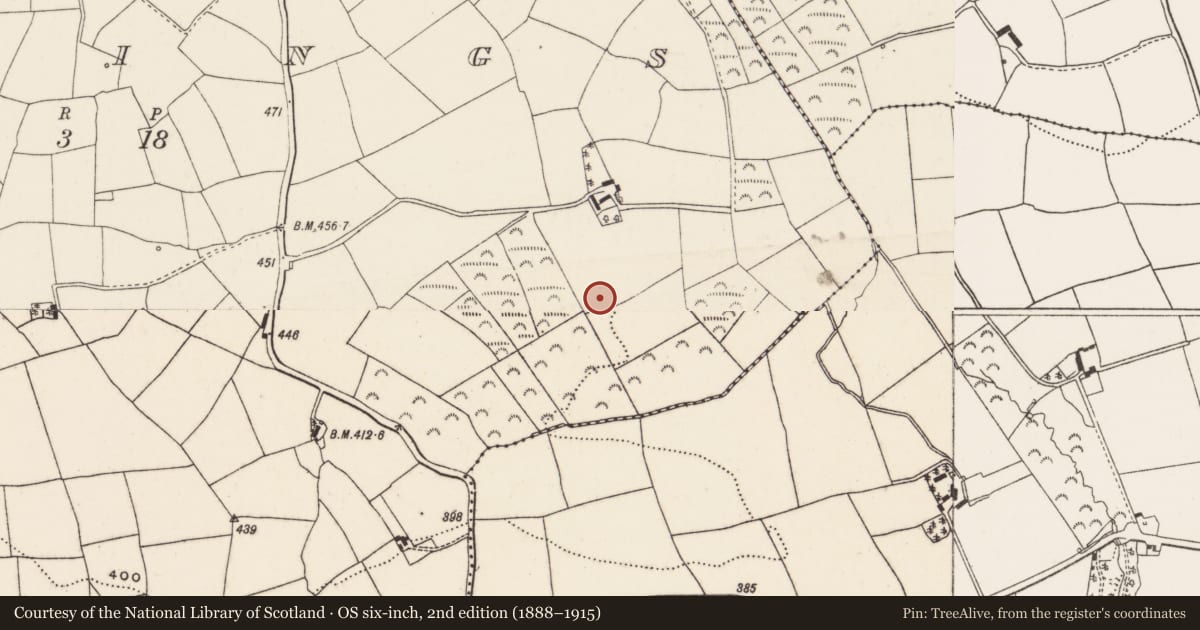 Ordnance Survey six-inch map, 2nd edition (1888–1915) covering the location of Fulacht fia, Berrings, County Cork, with a pin at the register's coordinates