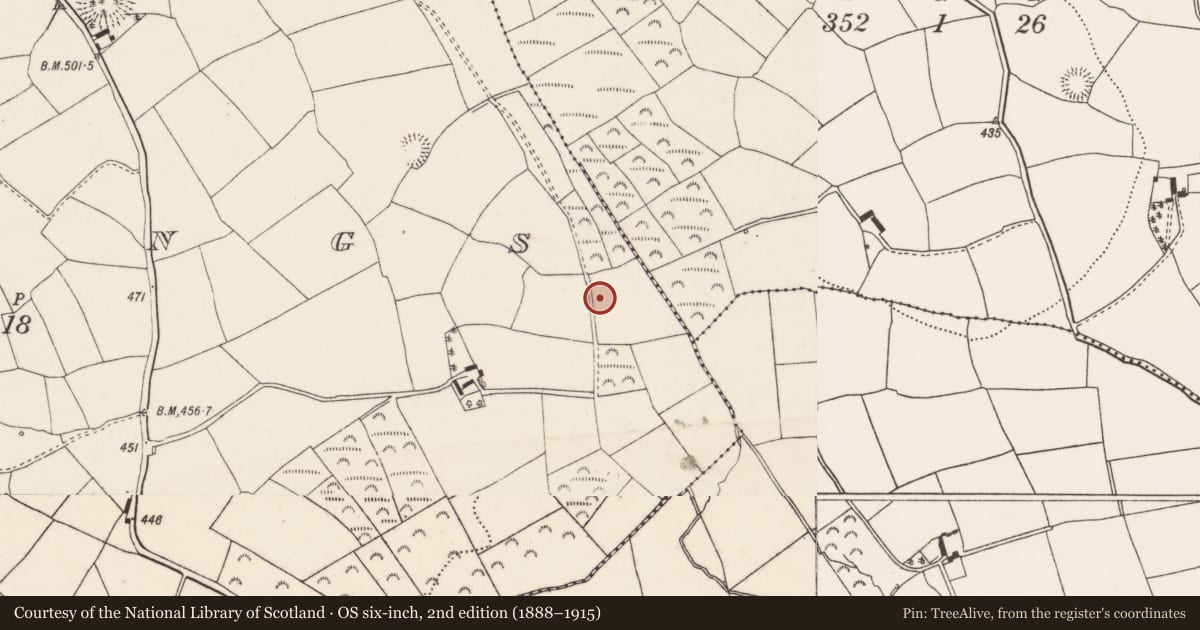 Ordnance Survey six-inch map, 2nd edition (1888–1915) covering the location of Fulacht fia, Berrings, County Cork, with a pin at the register's coordinates