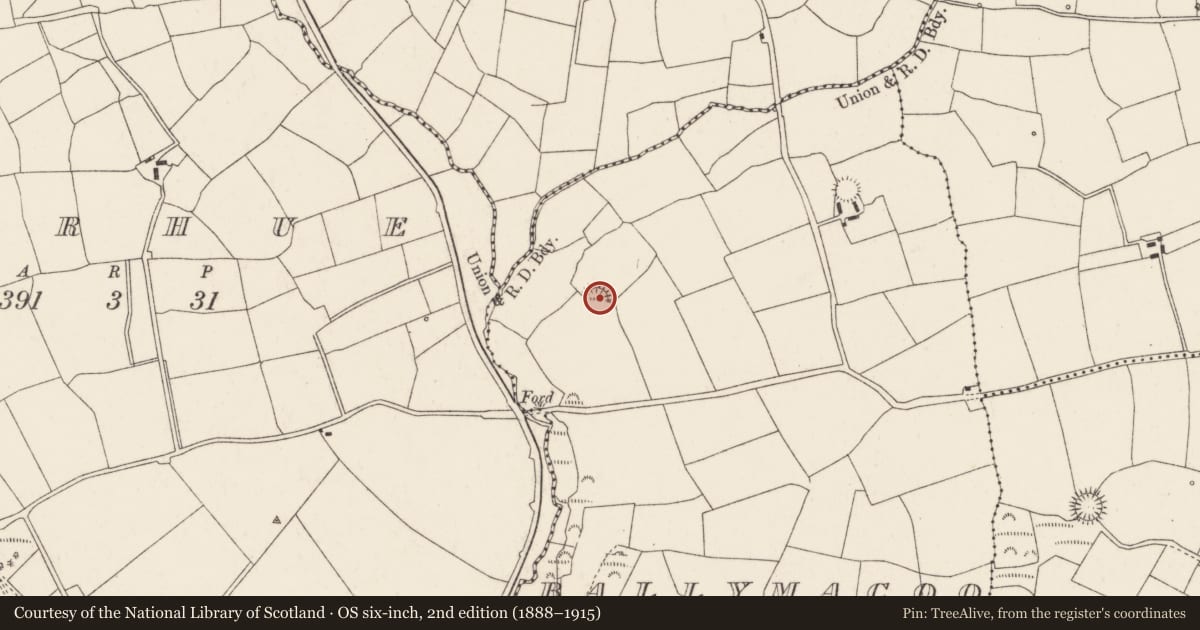 Ordnance Survey six-inch map, 2nd edition (1888–1915) covering the location of Ringfort - rath, Ballymacoo, County Cork, with a pin at the register's coordinates