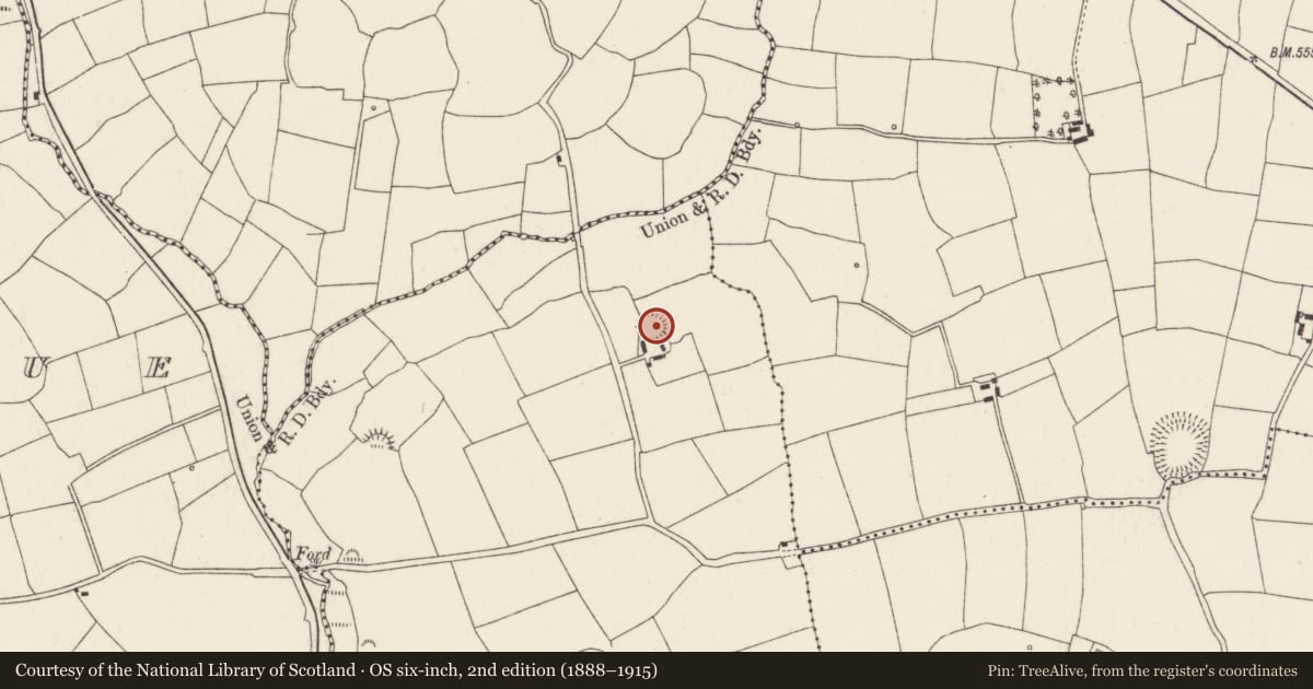 Ordnance Survey six-inch map, 2nd edition (1888–1915) covering the location of Ringfort - rath, Ballymacoo, County Cork, with a pin at the register's coordinates