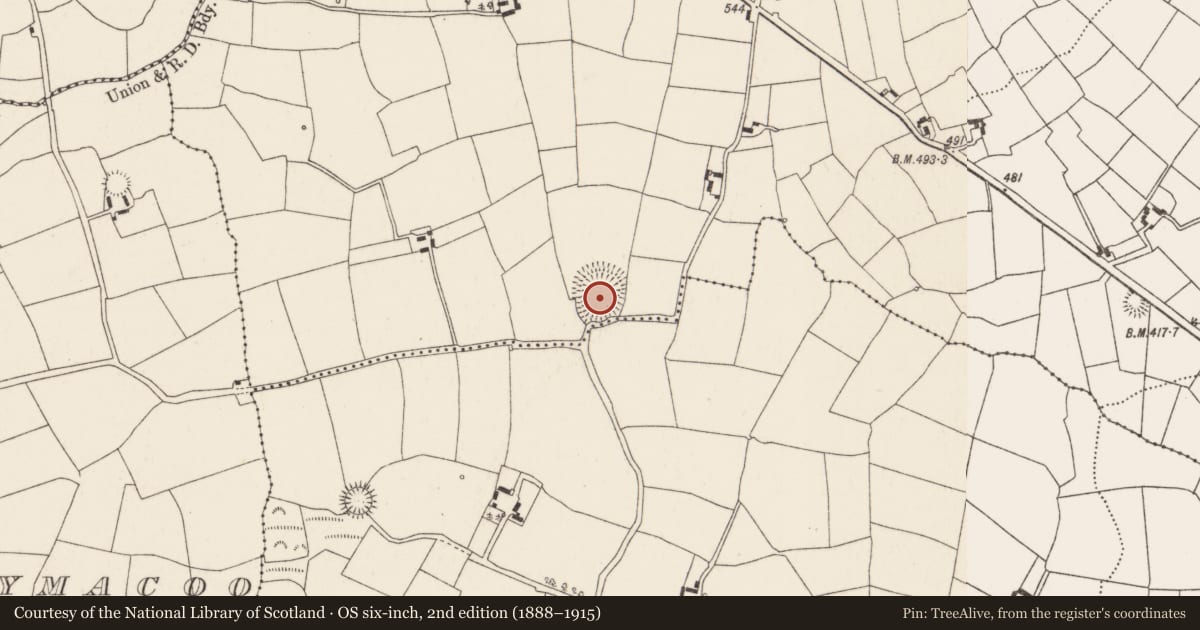 Ordnance Survey six-inch map, 2nd edition (1888–1915) covering the location of Ringfort - rath, Kilclogh, County Cork, with a pin at the register's coordinates