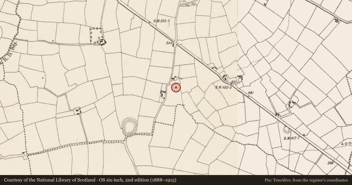Ordnance Survey six-inch map, 2nd edition (1888–1915) covering the location of Standing stone, Kilclogh, County Cork, with a pin at the register's coordinates
