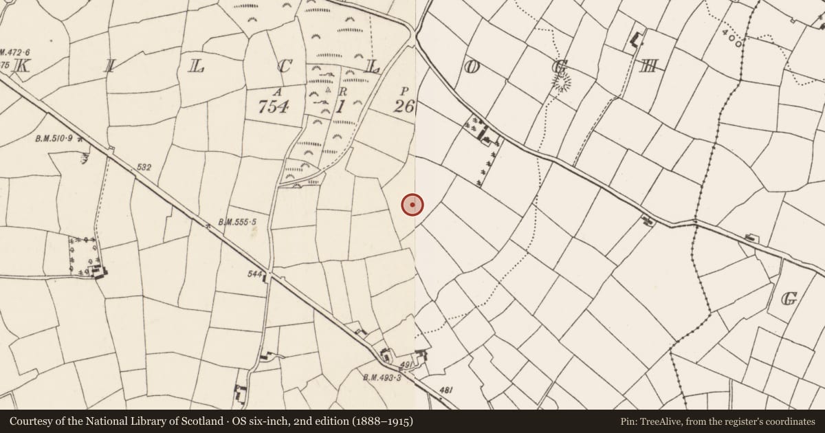 Ordnance Survey six-inch map, 2nd edition (1888–1915) covering the location of Burial ground, Kilclogh, County Cork, with a pin at the register's coordinates