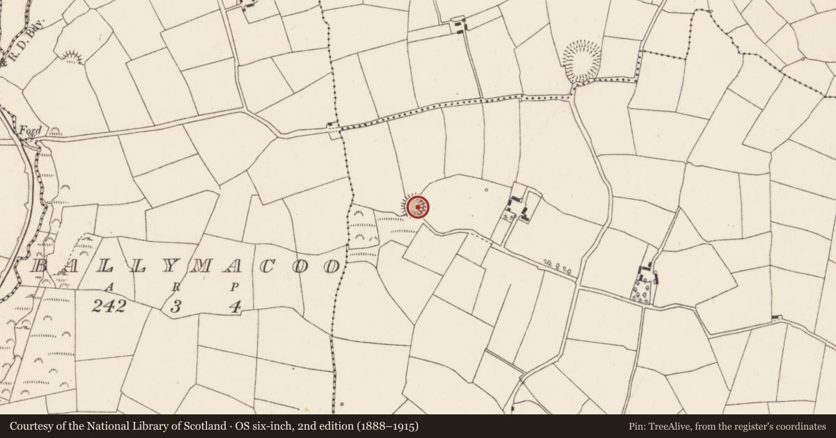 Ordnance Survey six-inch map, 2nd edition (1888–1915) covering the location of Ringfort - rath, Ballyshoneen (Muskerry East By., Inishcarra Par.), County Cork, with a pin at the register's coordinates