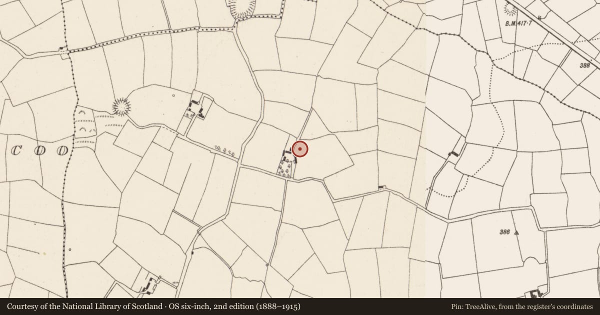 Ordnance Survey six-inch map, 2nd edition (1888–1915) covering the location of Souterrain, Ballyshoneen (Muskerry East By., Inishcarra Par.), County Cork, with a pin at the register's coordinates