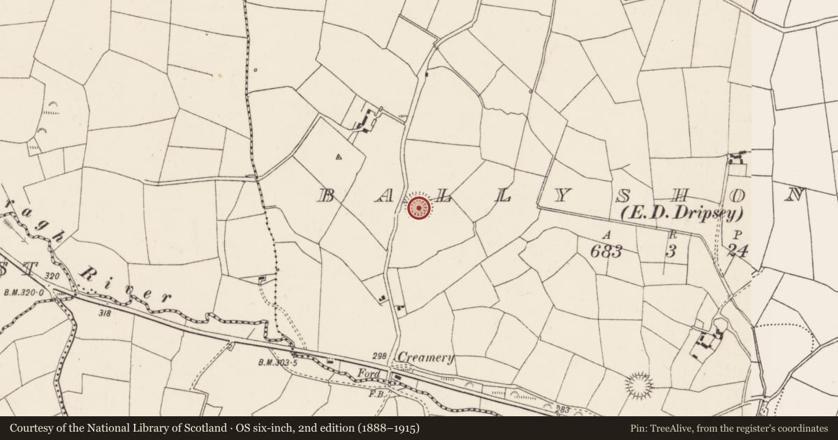 Ordnance Survey six-inch map, 2nd edition (1888–1915) covering the location of Ringfort - rath, Ballyshoneen (Muskerry East By., Inishcarra Par.), County Cork, with a pin at the register's coordinates