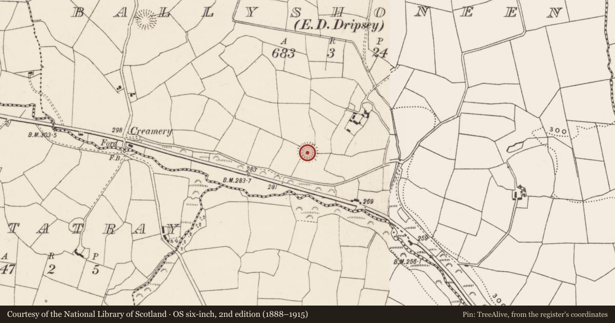 Ordnance Survey six-inch map, 2nd edition (1888–1915) covering the location of Ringfort - rath, Ballyshoneen (Muskerry East By., Inishcarra Par.), County Cork, with a pin at the register's coordinates