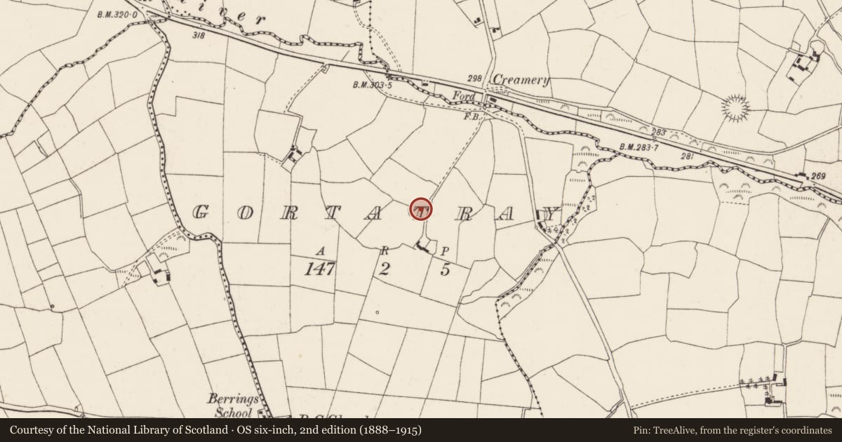 Ordnance Survey six-inch map, 2nd edition (1888–1915) covering the location of Ringfort - rath, Gortatray, County Cork, with a pin at the register's coordinates