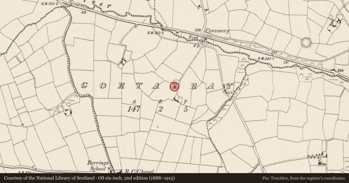 Ordnance Survey six-inch map, 2nd edition (1888–1915) covering the location of Souterrain, Gortatray, County Cork, with a pin at the register's coordinates