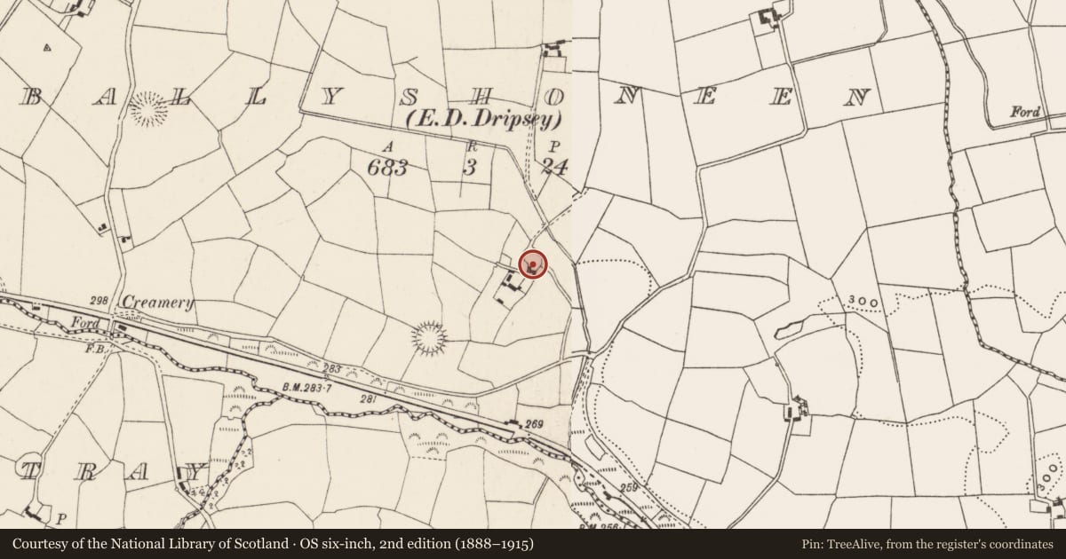 Ordnance Survey six-inch map, 2nd edition (1888–1915) covering the location of Ringfort - rath, Ballyshoneen (Muskerry East By., Inishcarra Par.), County Cork, with a pin at the register's coordinates