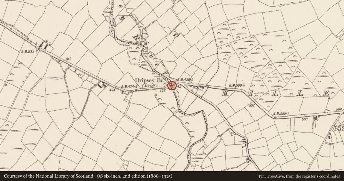 Ordnance Survey six-inch map, 2nd edition (1888–1915) covering the location of Bridge, Monataggart, Rylane, County Cork, with a pin at the register's coordinates